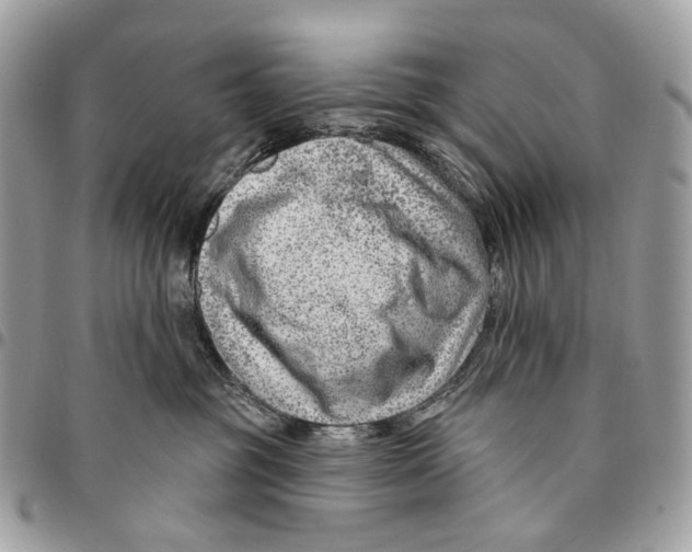 X0000095900381200802081146