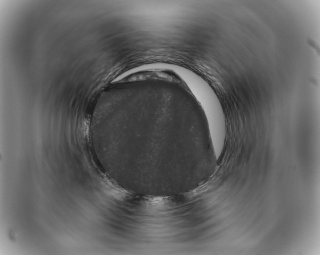 X0000095900382200802081146