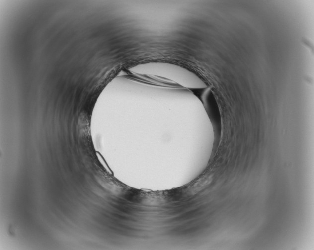 X0000095900384200802081146