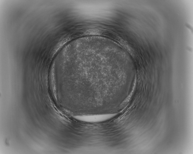 X0000095900386200802081145