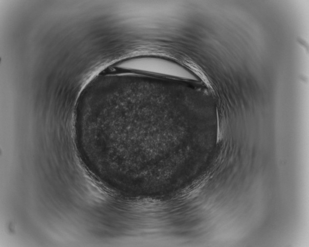 X0000095900387200802081145