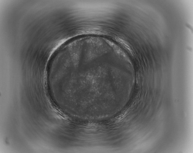 X0000095900388200802081145