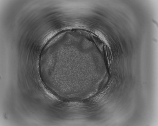 X0000095900389200802081145