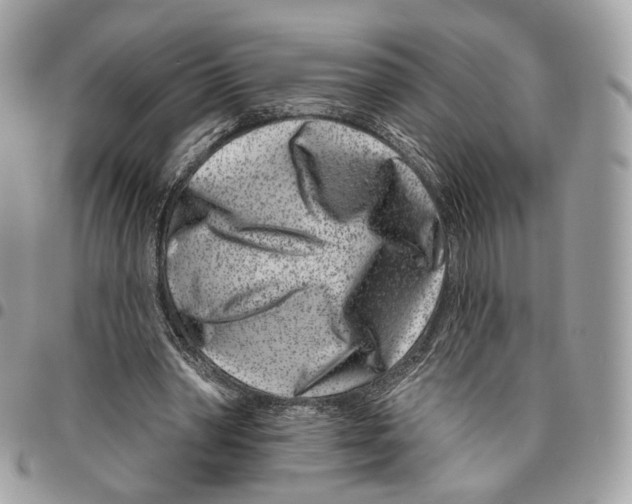 X0000095900390200802081145