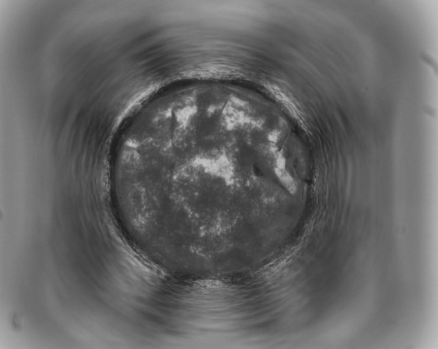 X0000095900392200802081145