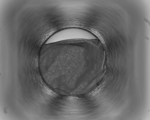 X0000095900393200802081145