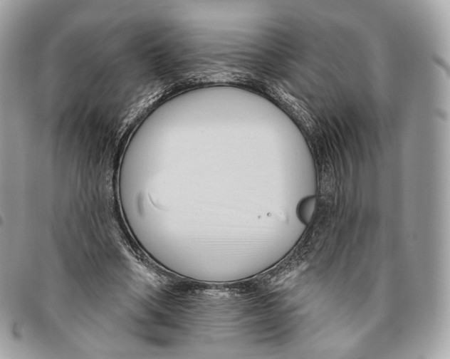 X0000095900394200802081145