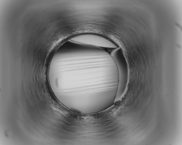 X0000095900395200802081145