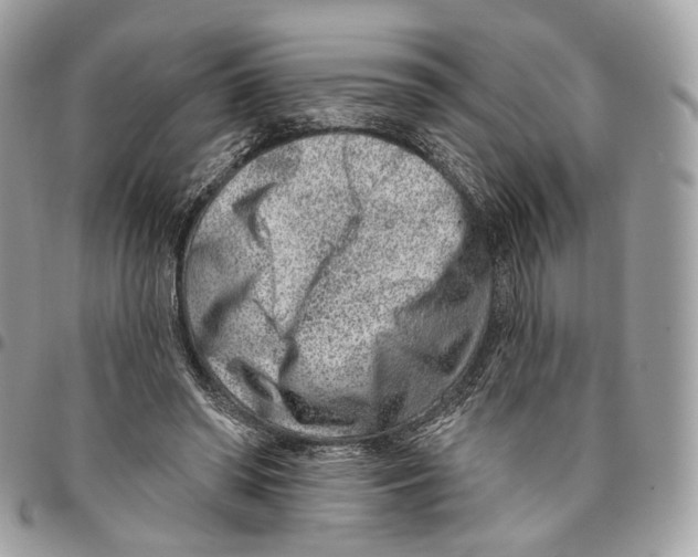 X0000095900398200802081145