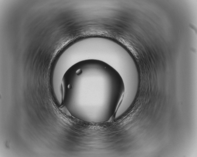 X0000095900399200802081145