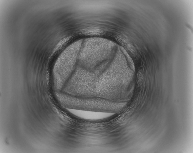 X0000095900400200802081145