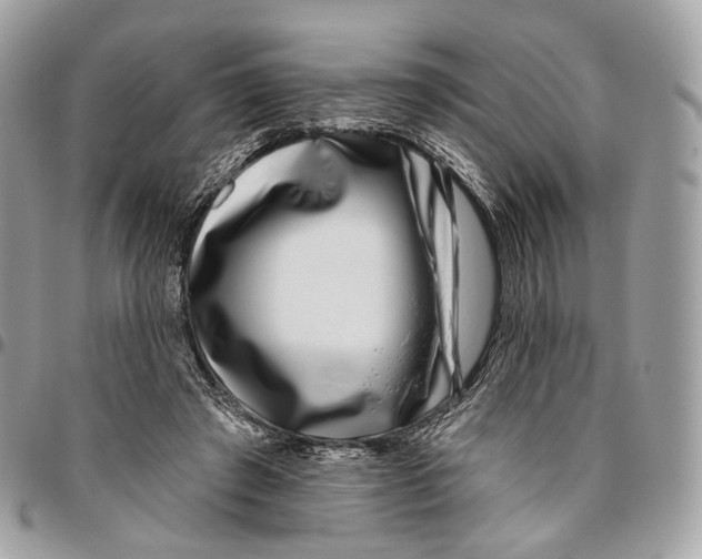 X0000095900401200802081145