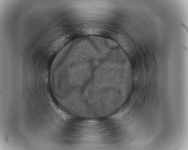 X0000095900402200802081145