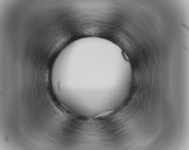 X0000095900404200802081145