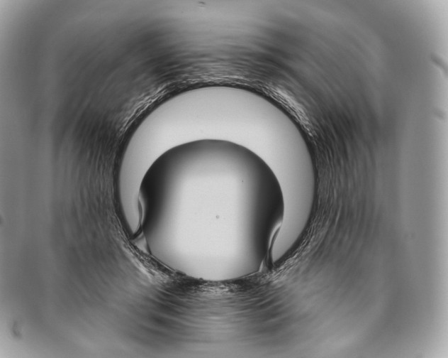 X0000095900405200802081145