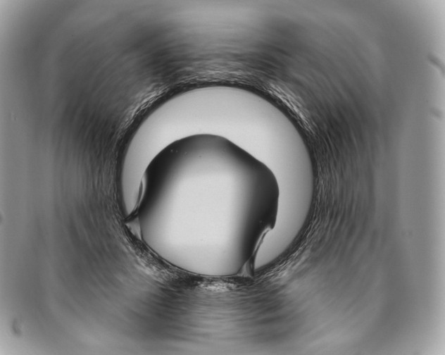 X0000095900407200802081145