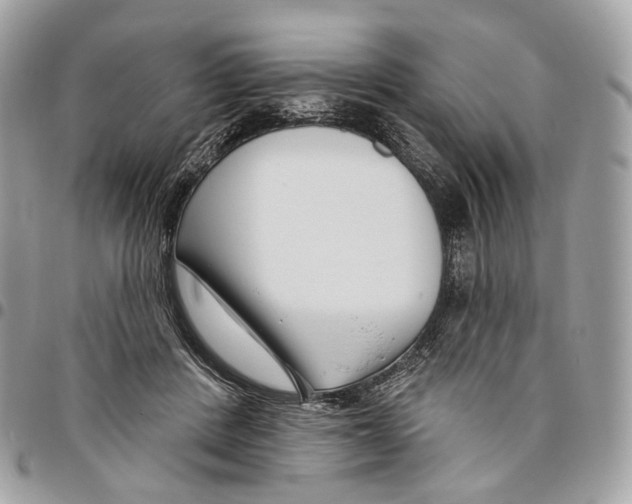 X0000095900408200802081145