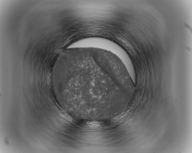 X0000095900409200802081145