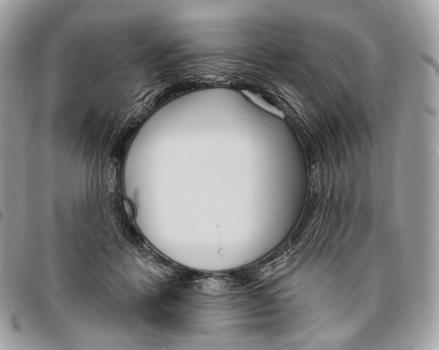 X0000095900412200802081145