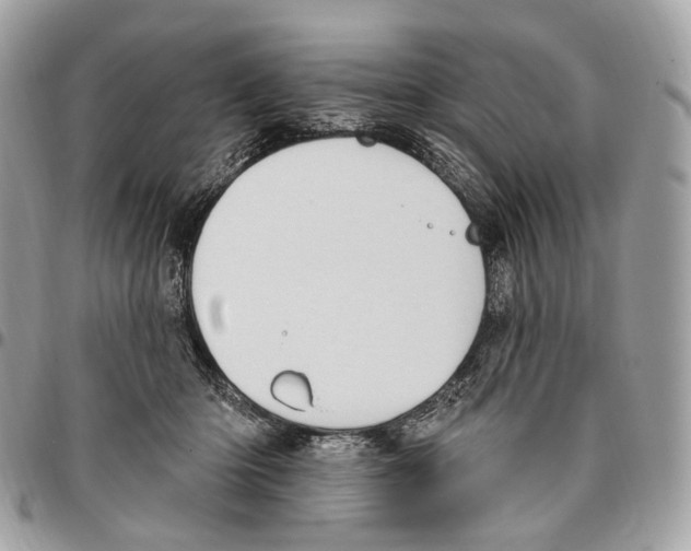 X0000095900414200802081145