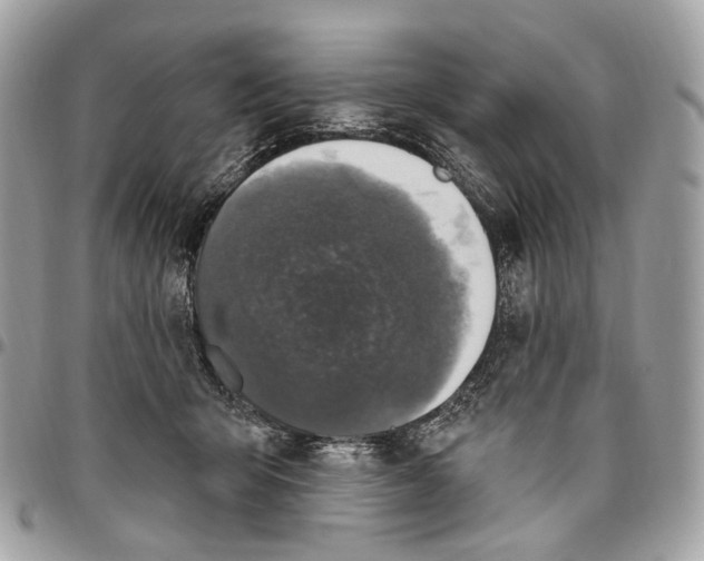 X0000095900415200802081145