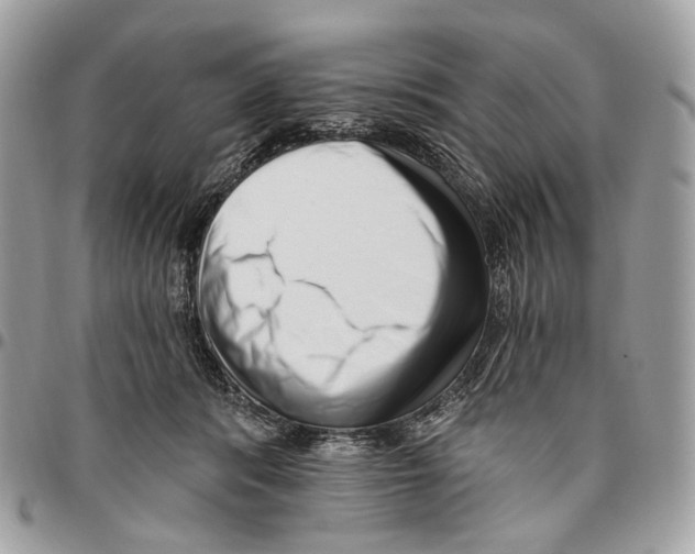 X0000095900416200802081145