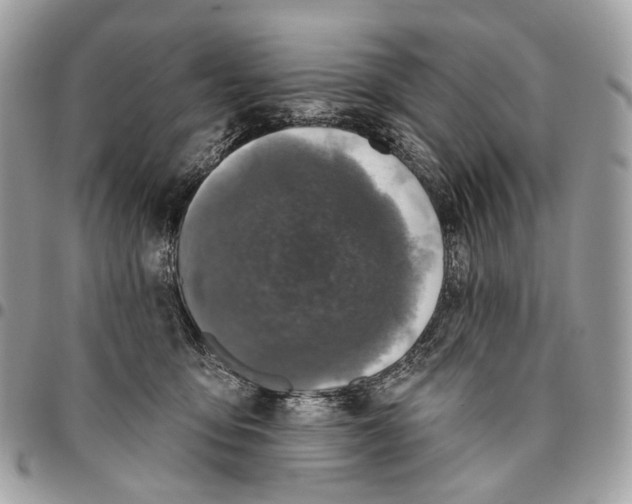 X0000095900419200802081144