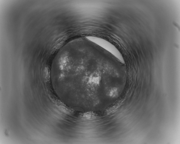 X0000095900420200802081144