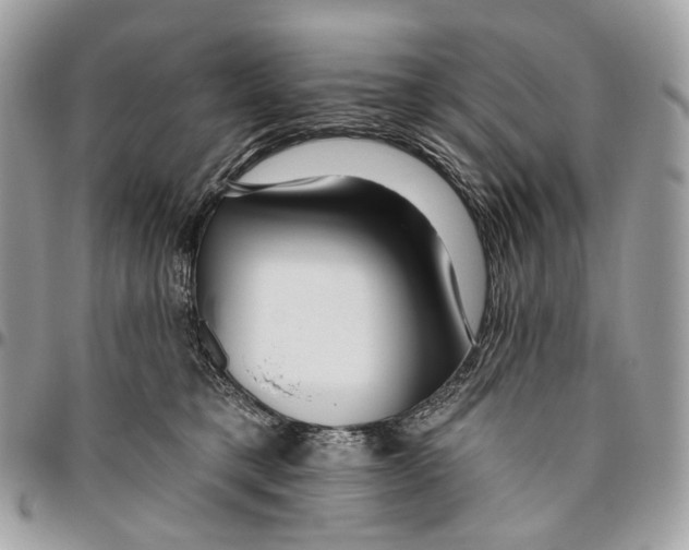 X0000095900421200802081144