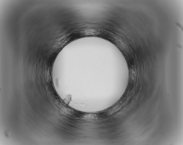 X0000095900422200802081144