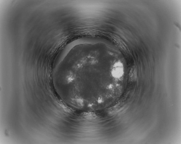 X0000095900424200802081144