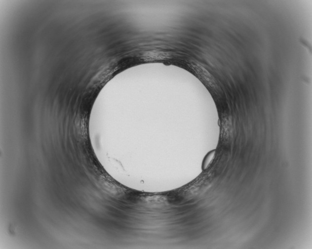 X0000095900426200802081144