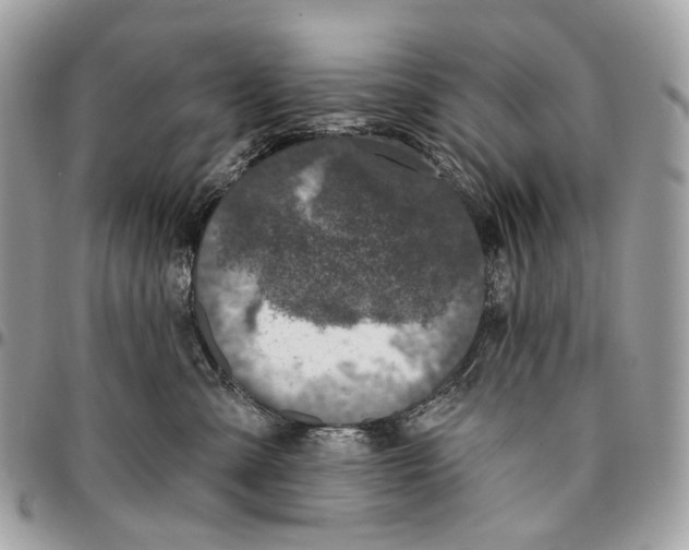 X0000095900427200802081144