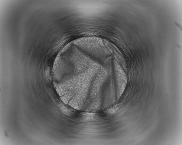 X0000095900428200802081144