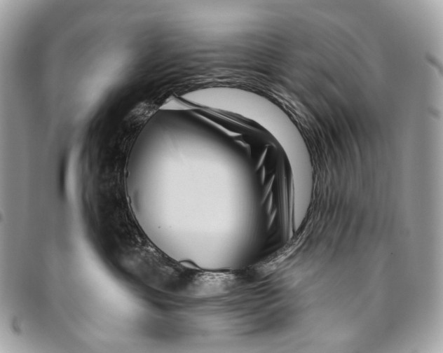 X0000095900429200802081144