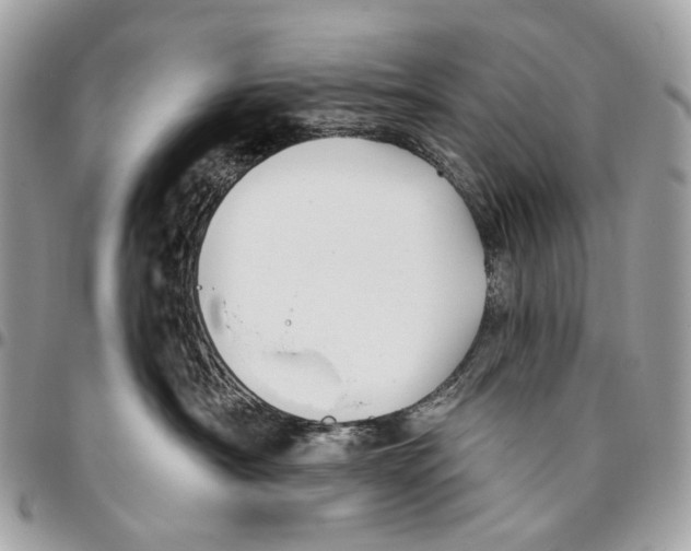 X0000095900430200802081144