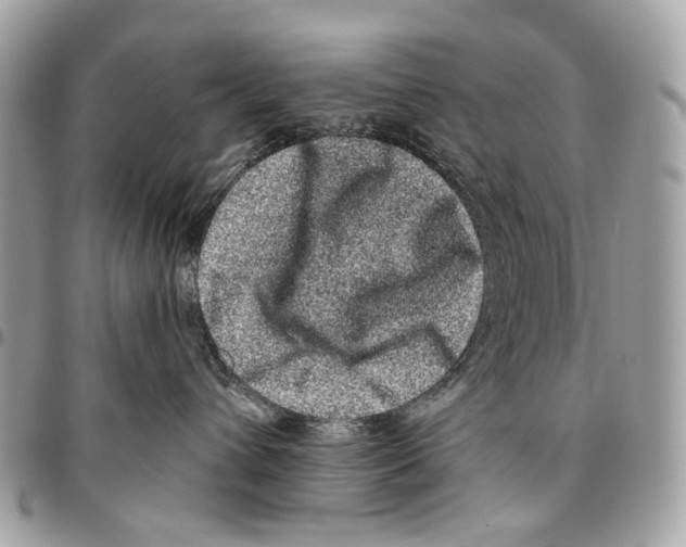 X0000095900432200802081144