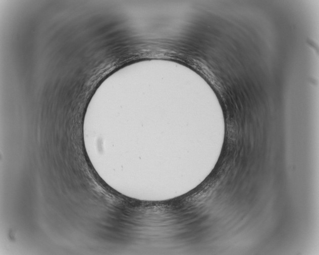 X0000095900433200802081143