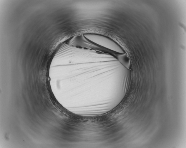 X0000095900434200802081143