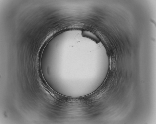 X0000095900435200802081143