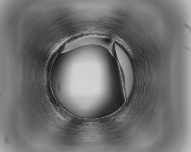 X0000095900436200802081143