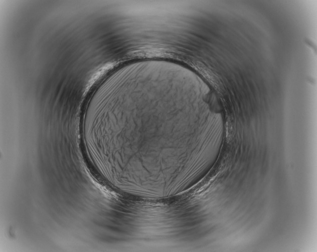 X0000095900438200802081143