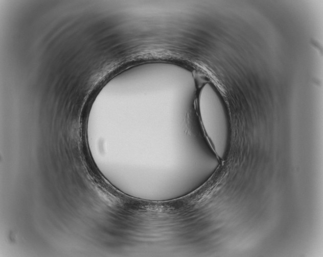 X0000095900439200802081143