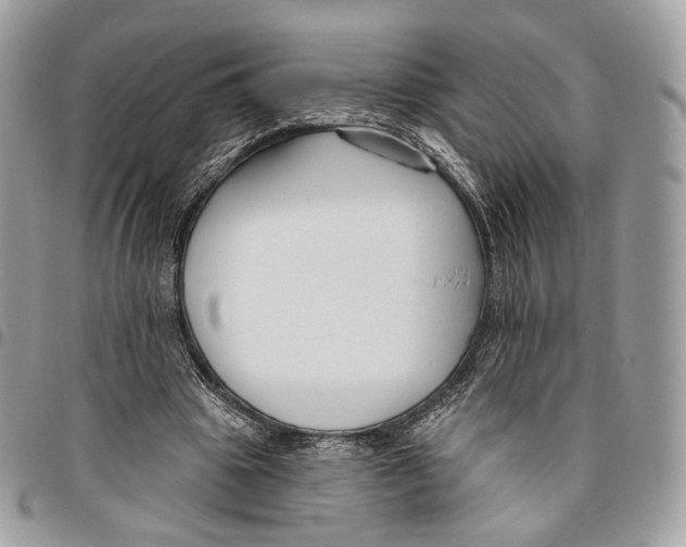 X0000095900441200802081144