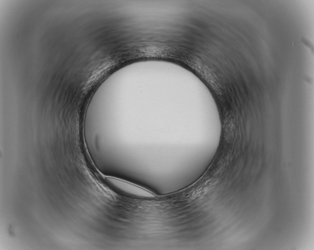 X0000095900442200802081144