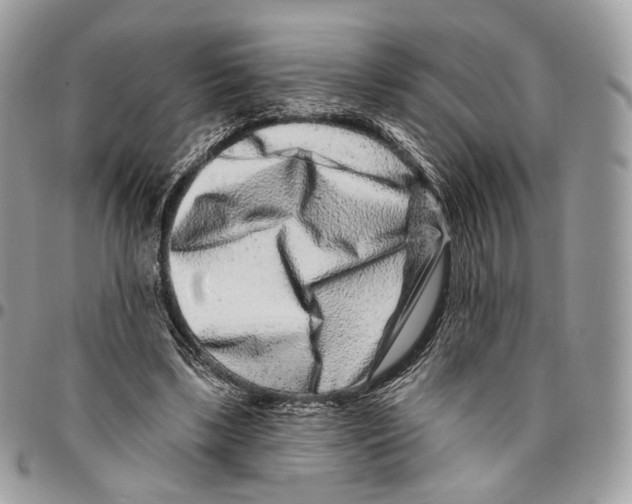 X0000095900443200802081144