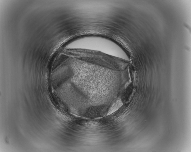 X0000095900444200802081144