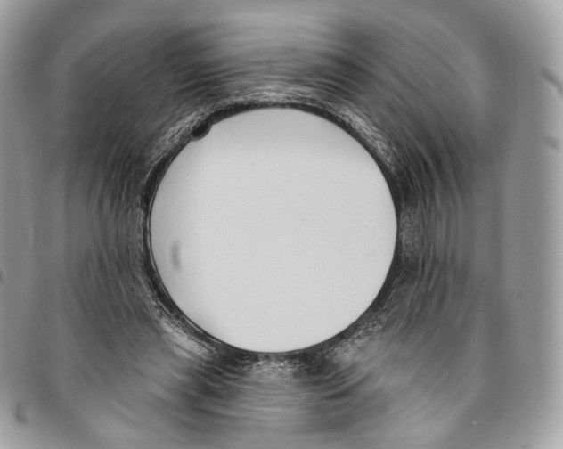 X0000095900445200802081144