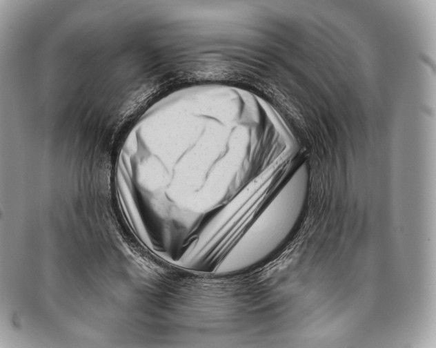 X0000095900446200802081144