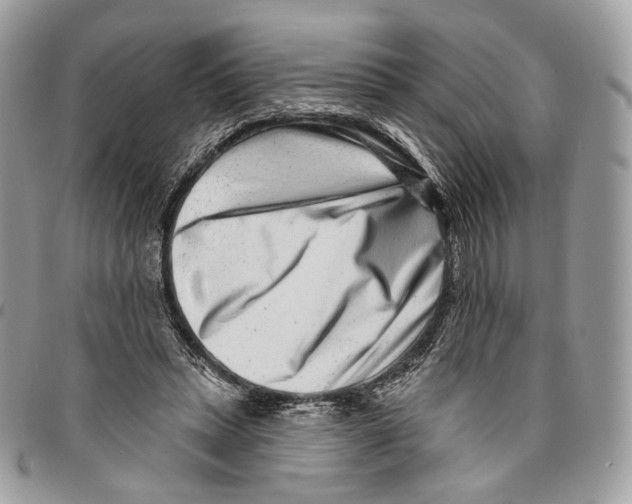 X0000095900447200802081144